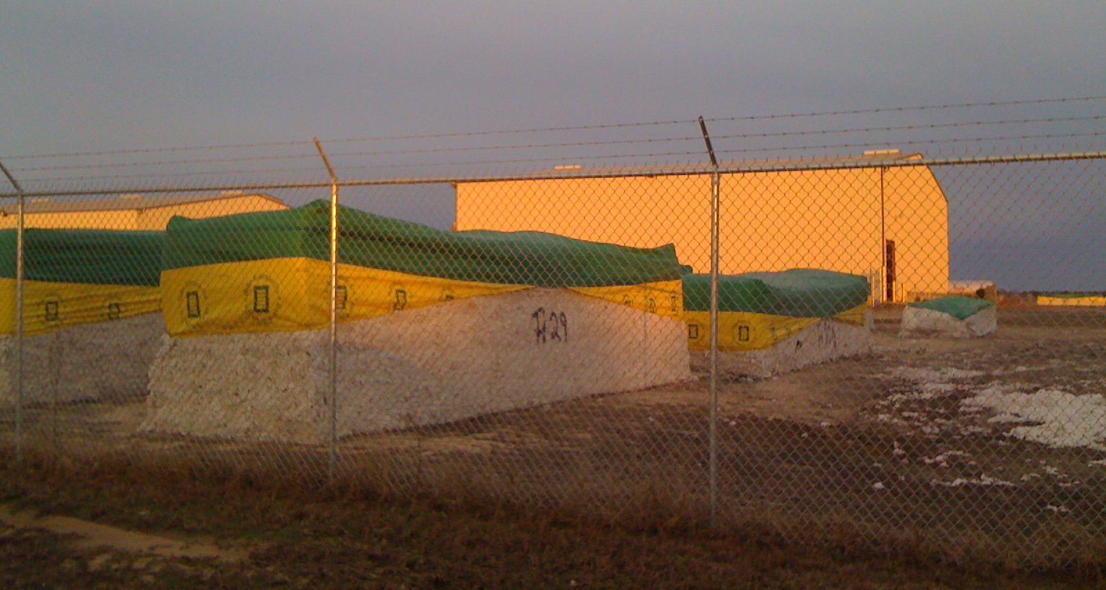Cotton bales waiting for processing