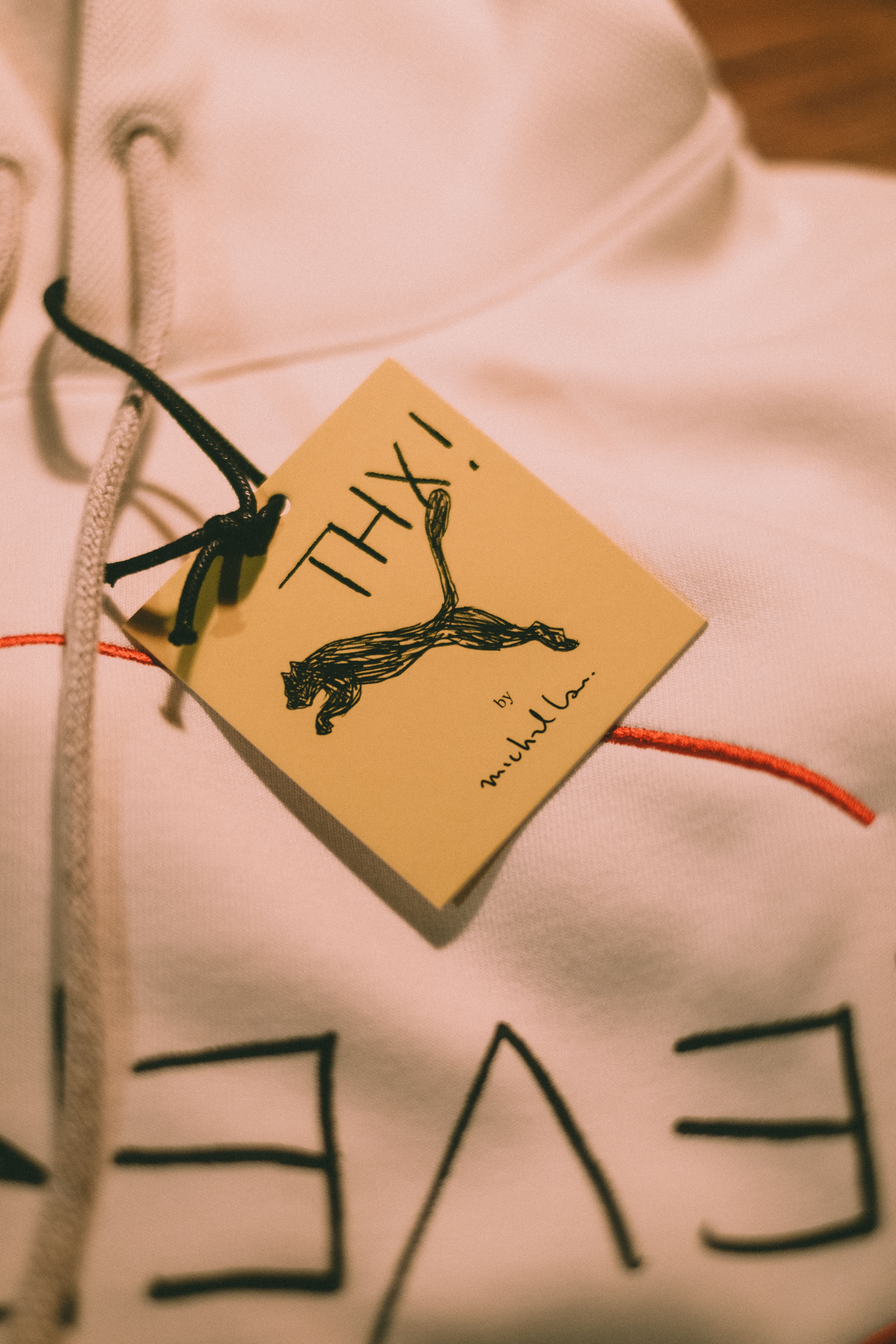 Drawcord, metal eyelet and swing tag on a hoodie.
